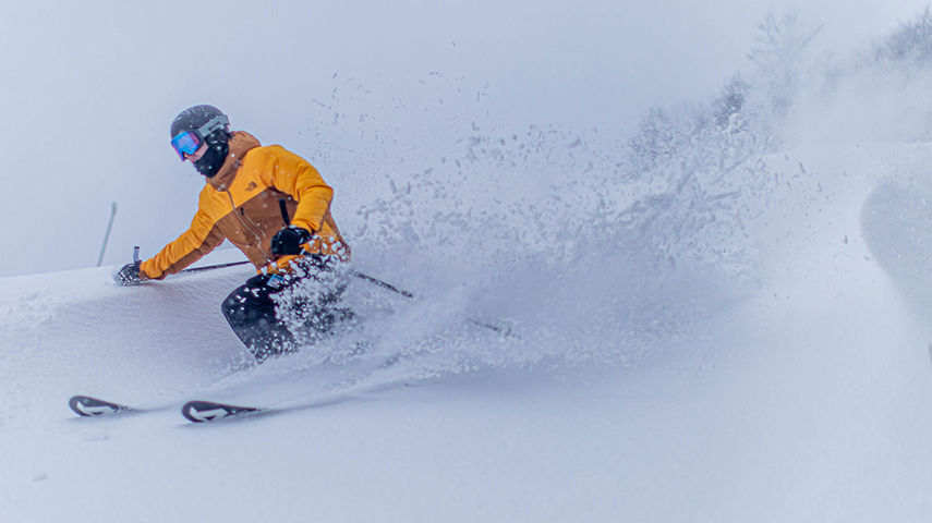 Hunter + Native + Resort + EDP EDPL + NonDL