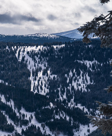 Blue Sky Basin on a Cloudy Day in Vail, CO