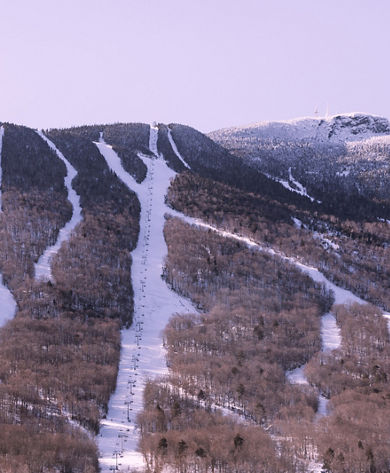 Scenic View of Snowy Runs at Stowe