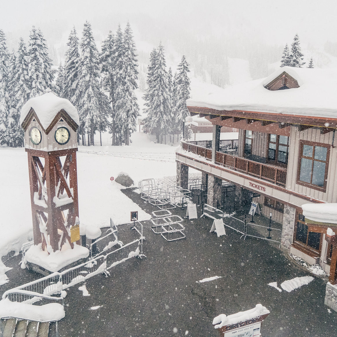 Fresh Snowfall at Stevens Pass