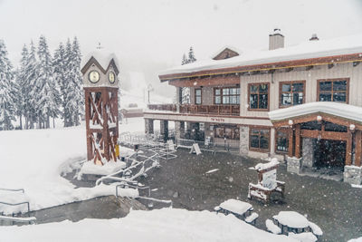 Fresh Snowfall at Stevens Pass