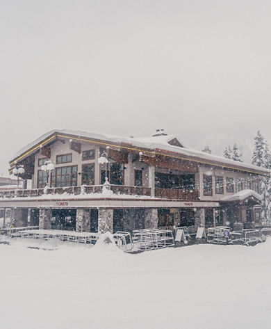 Fresh Snowfall at Stevens Pass