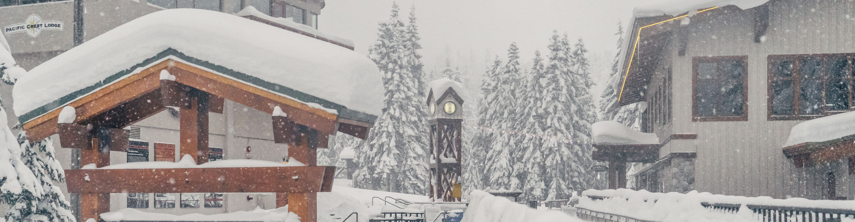 Fresh Snowfall at Stevens Pass