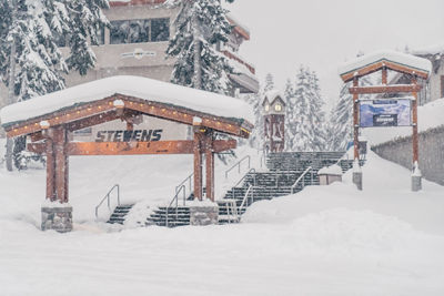 Fresh Snowfall at Stevens Pass