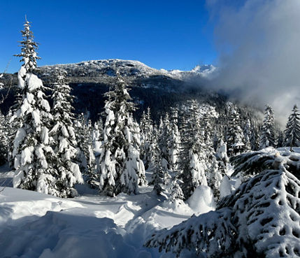 Wintery Scenic Views from Cougar Mountain - The Ancient Cedars Forest Trail Near Whistler Blackcomb