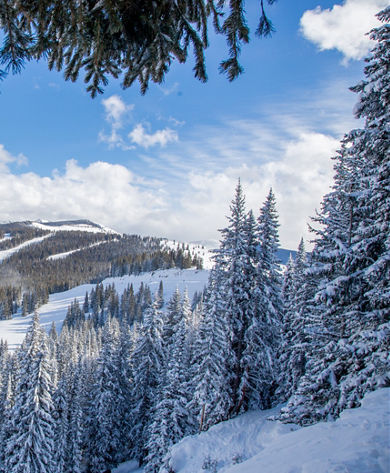 Overlook of Northwoods in Vail, CO