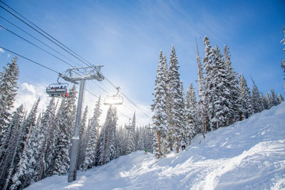 Northwoods Express on a Sunny Powder Day in Vail, CO