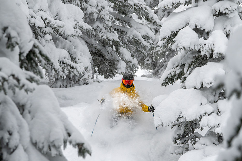 skiing powder in the trees Vail
