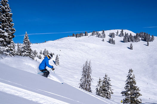 Skier Enjoys Powder During Bluebird Day in Vail, CO