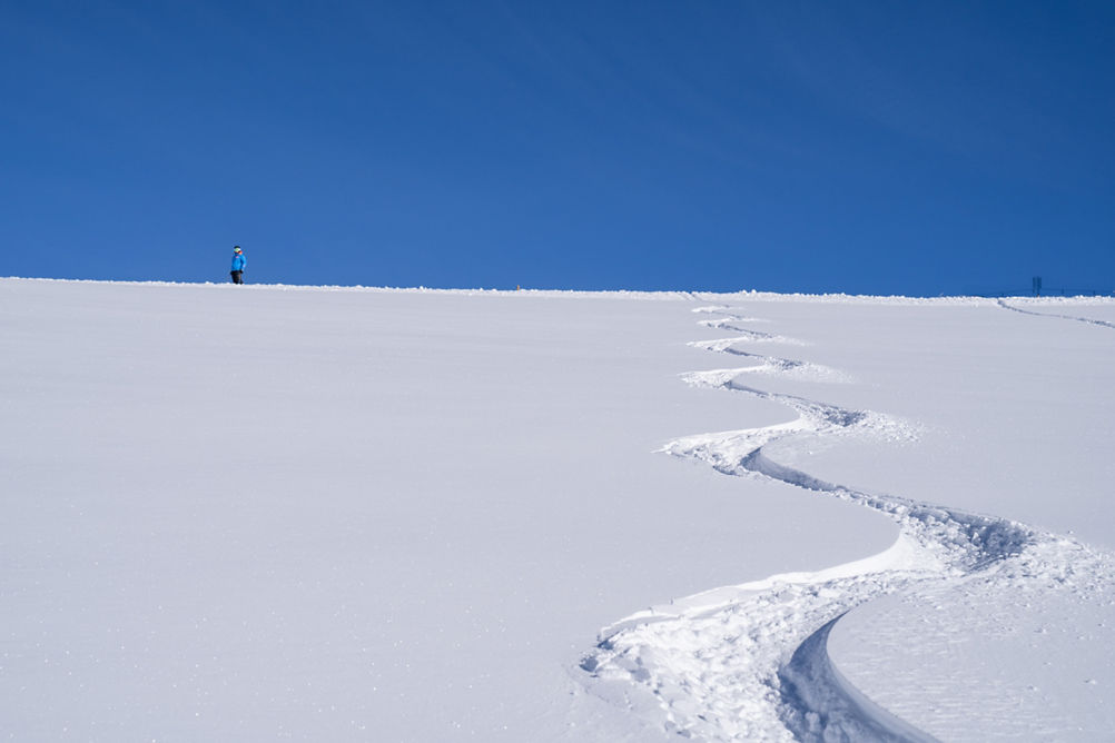 Fresh Powders Tracks in China Bowl in Vail, CO