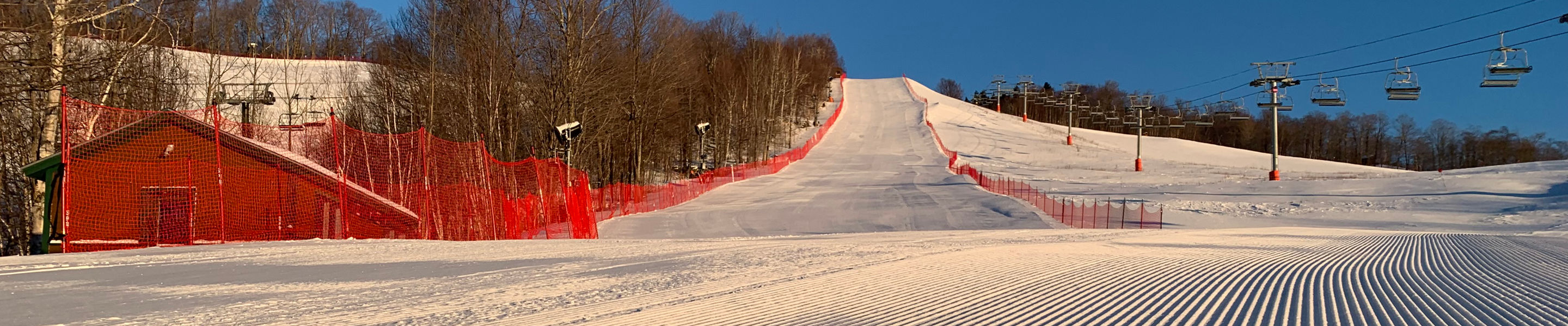 Stowe perfect grooming on race trail