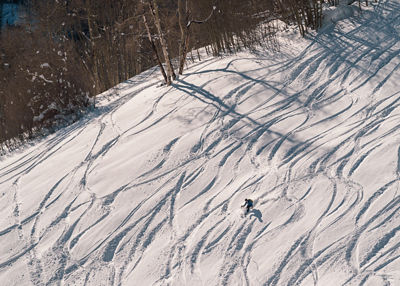 Skier Enjoys Fresh Tracks During Sunrise on Tea Cup Bowl in Vail, CO