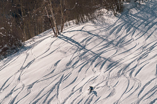 Skier Enjoys Fresh Tracks During Sunrise on Tea Cup Bowl in Vail, CO
