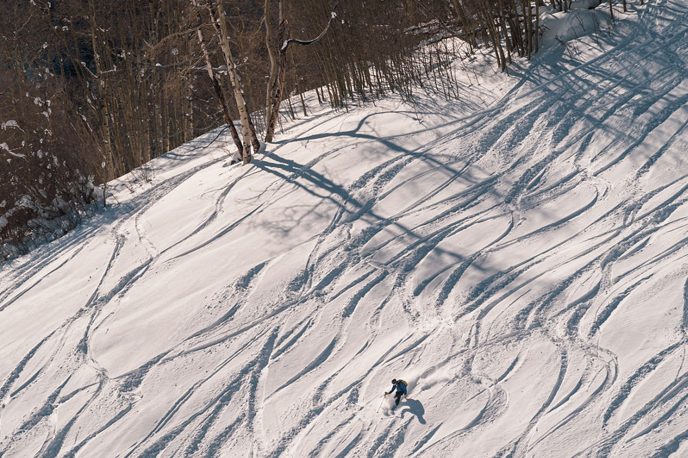 Skier Enjoys Fresh Tracks During Sunrise on Tea Cup Bowl in Vail, CO