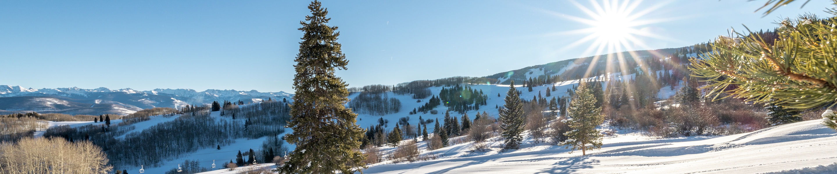 McCoy Park Opening Day