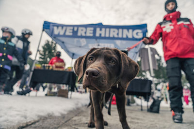 Hiring Pop-up at Stevens Pass