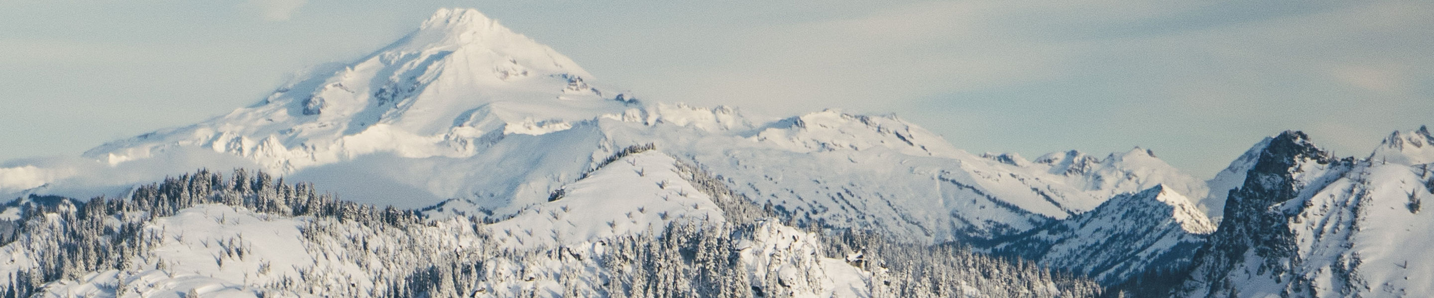 Fresh Powder Day at Stevens Pass