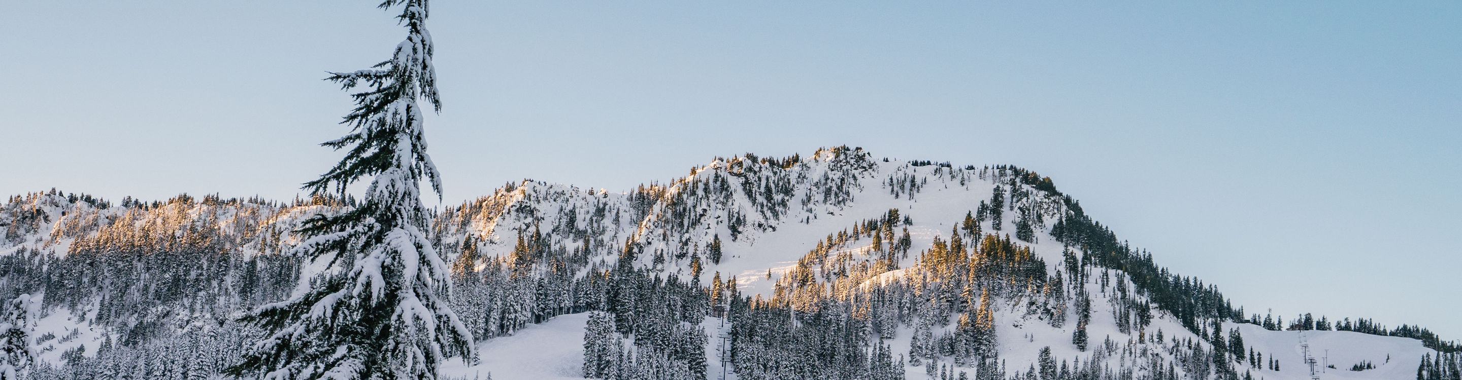 Scenic view of Lifts at Steven's Pass