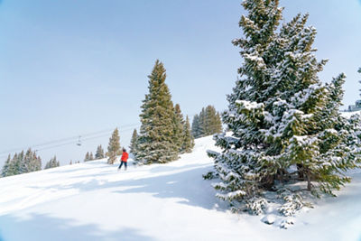Snowboarder at Outback Bluebird Day