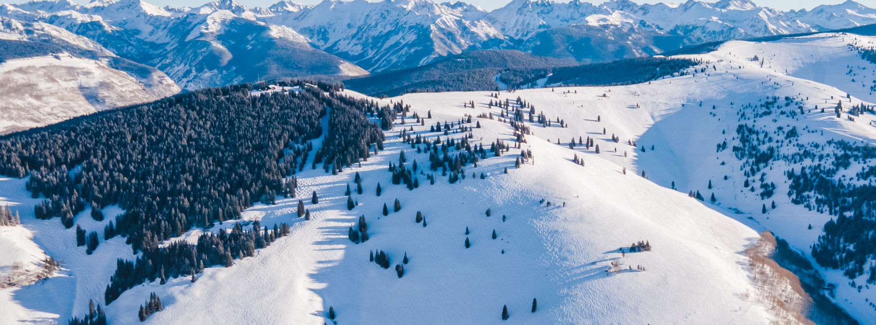 Esquiador nos Back Bowls de Vail
