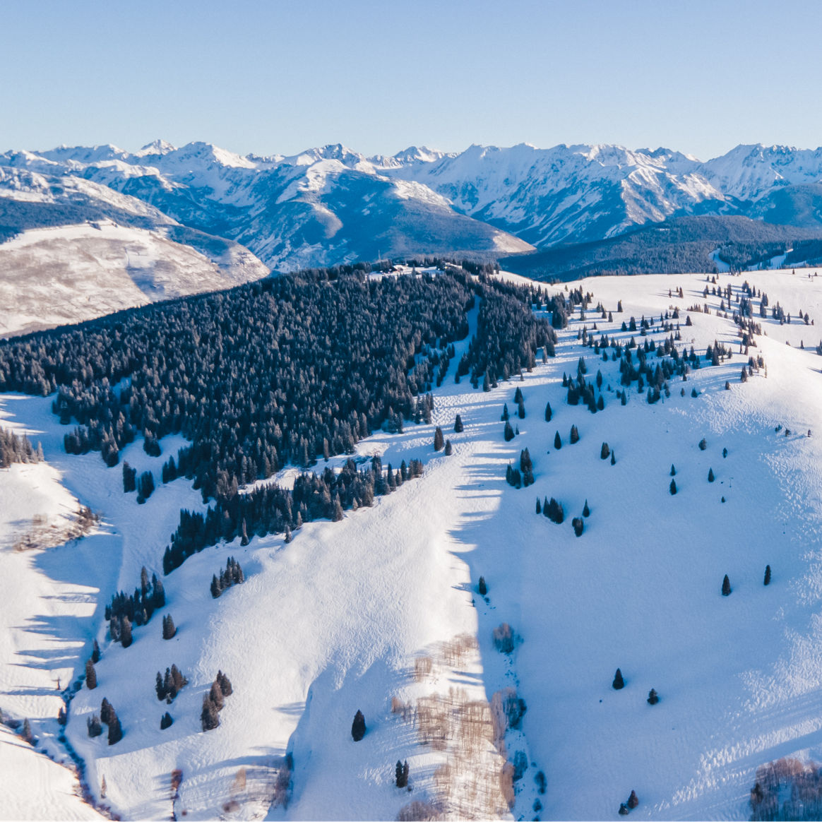 Vail Ski Resort Online | cityofclovis.org