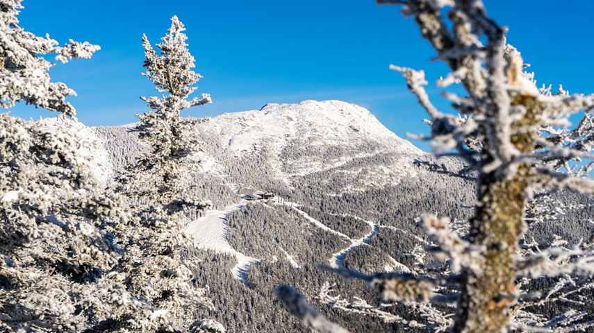Scenic View of Stowe Wintry Landscape