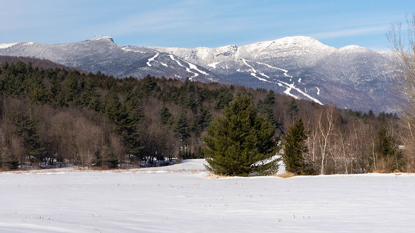 Scenic View of Stowe Wintry Landscape