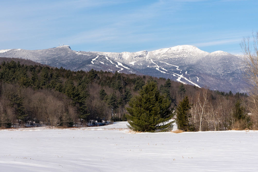 Scenic View of Stowe Wintry Landscape