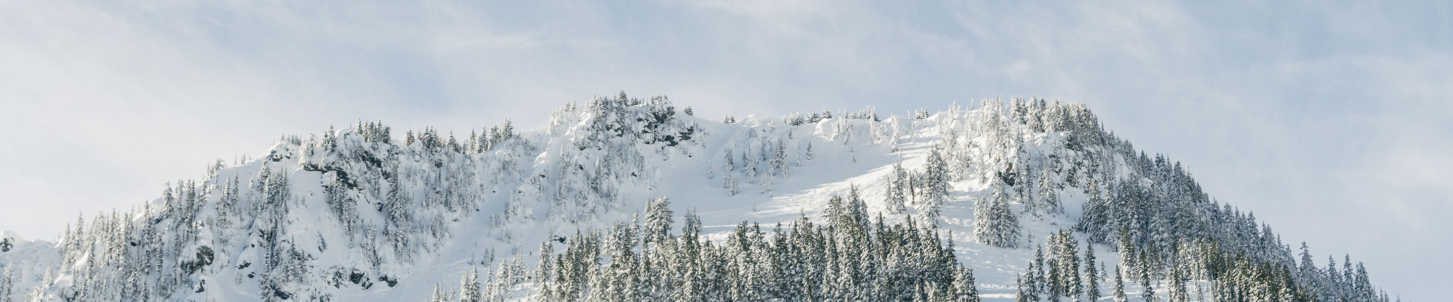 Scenic View of a Mountain Top at Stevens Pass