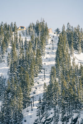 Winter Scenic Photo of Chairlift at Stevens Pass