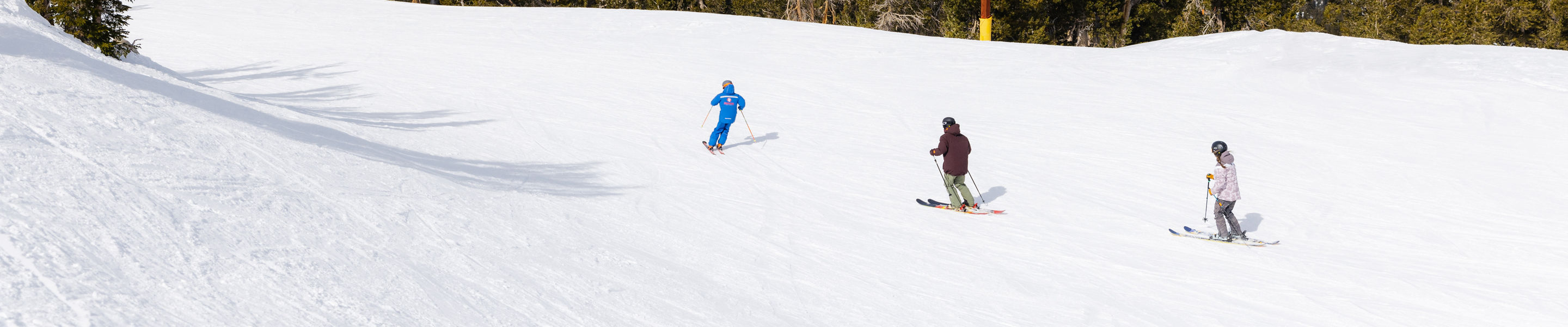 Adults skiing with an instructor