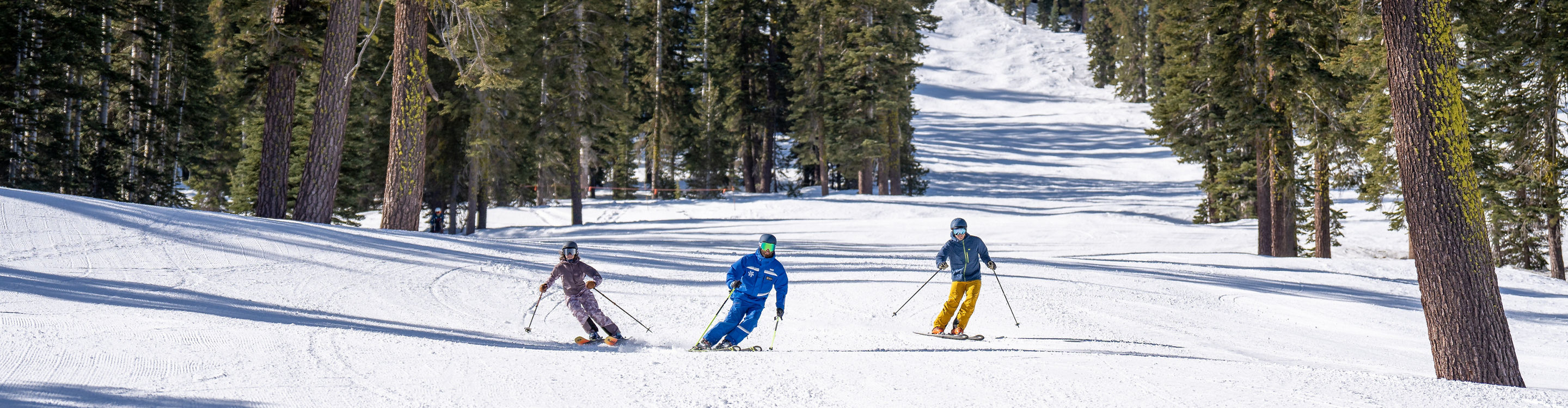 Adults skiing with an instructor