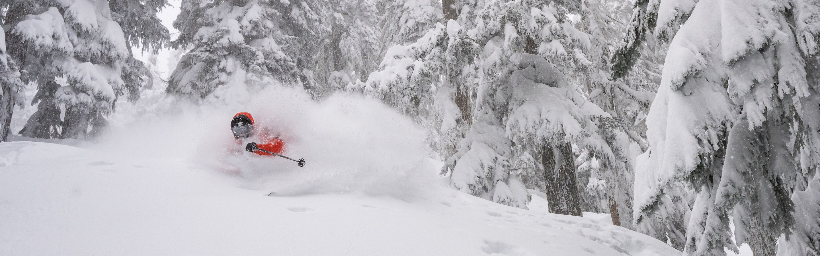 Jordy Kidner skiing amongst trees in a snow storm
