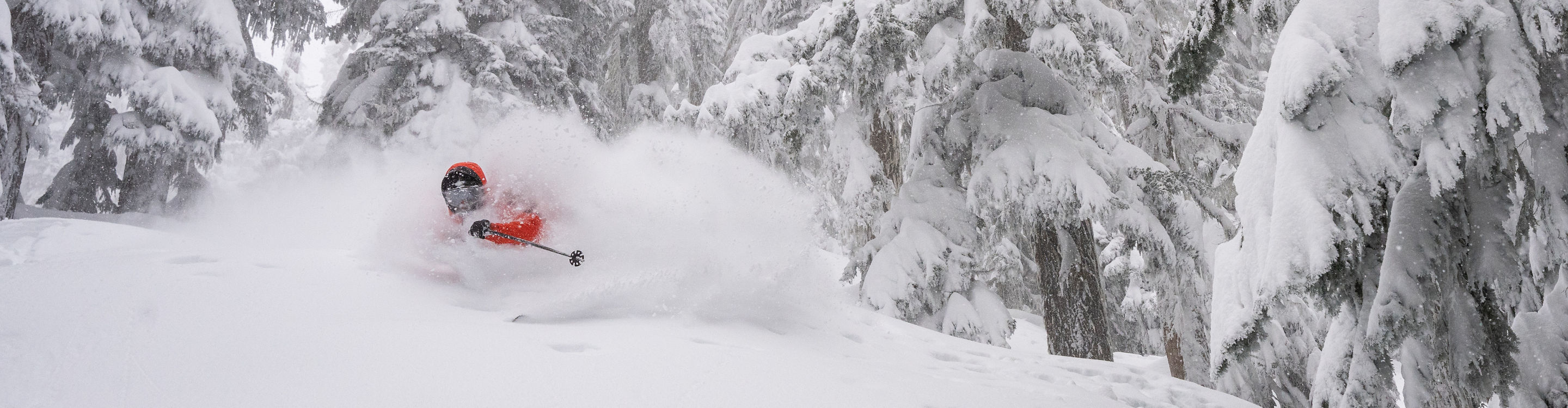 Jordy Kidner skiing amongst trees in a snow storm