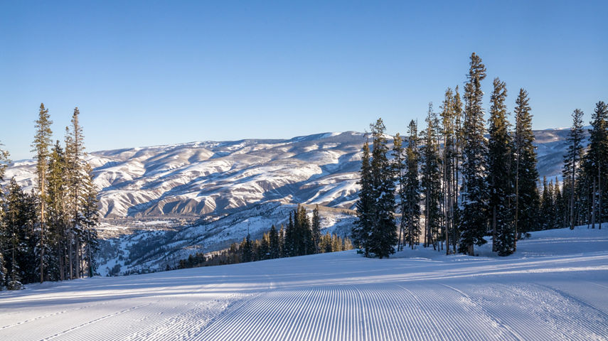 Corduroy at Larkspur, Beaver Creek