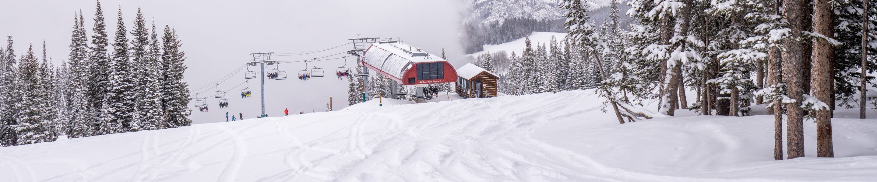 Snow Day Rose Bowl, Beaver Creek