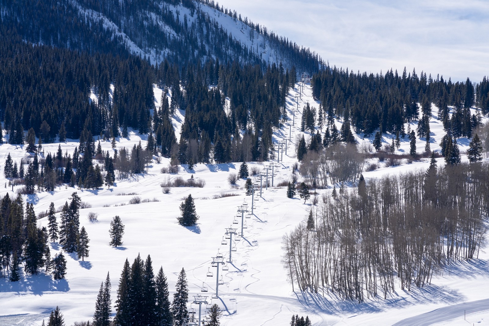 McCoy Park’s snowy slopes and open glades framed by evergreen trees at Beaver Creek
