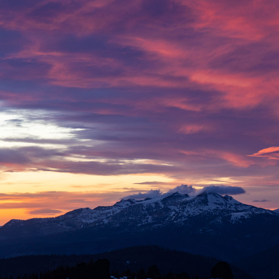 Kirkwood Blog Introduction - KW 05 2022 Blog