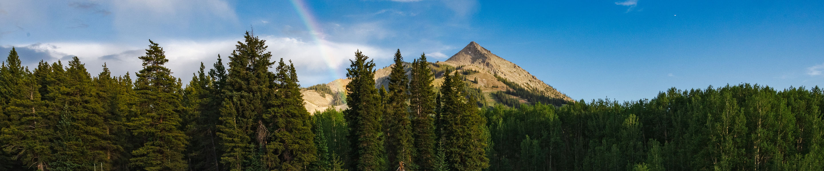 Mount Crested Butte with a rainbow and wildflowers in the foreground