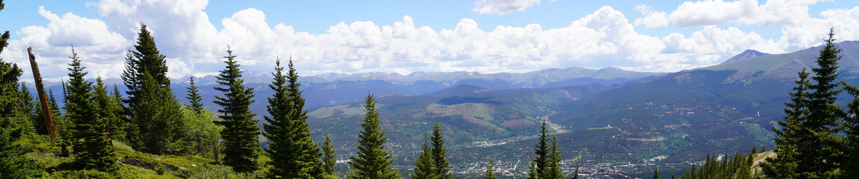 Wildflowers Horseshoe Bowl 003