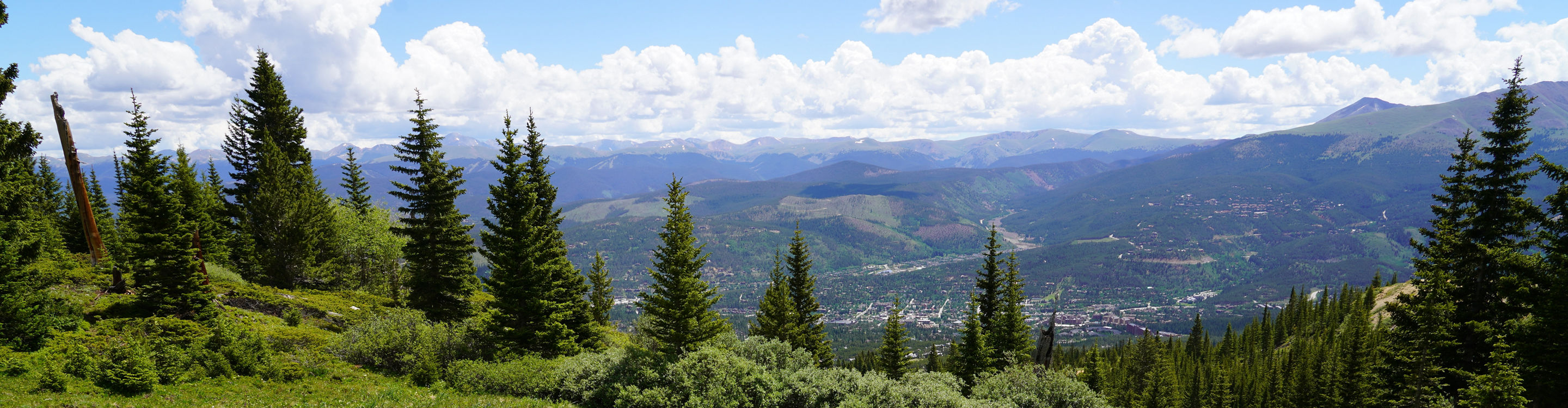 Wildflowers Horseshoe Bowl 003