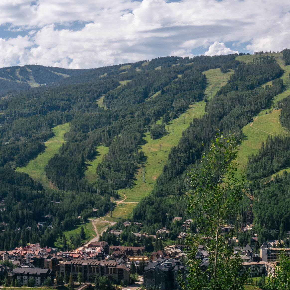 Vail Summer Scenic Views