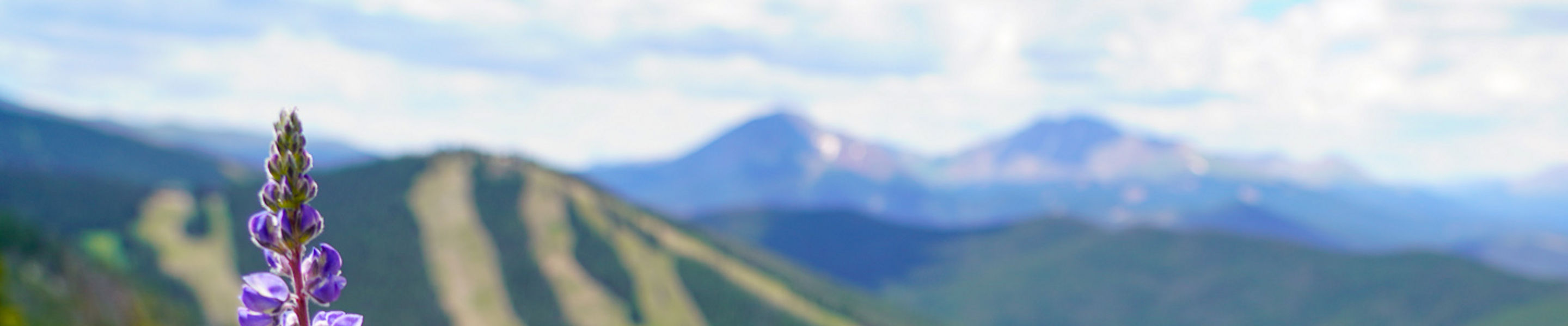 Summer Scenic Shot of Keystone Landscape