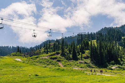 Scenic views at Stevens Pass