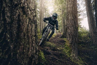 Mountain biker weaving through trees in Creekside