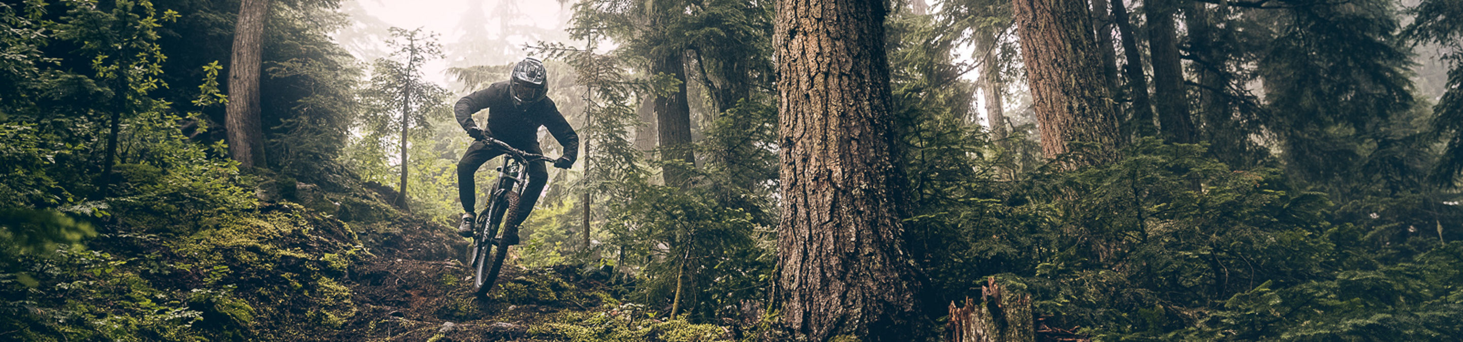 Mountain biking down roots in Creekside