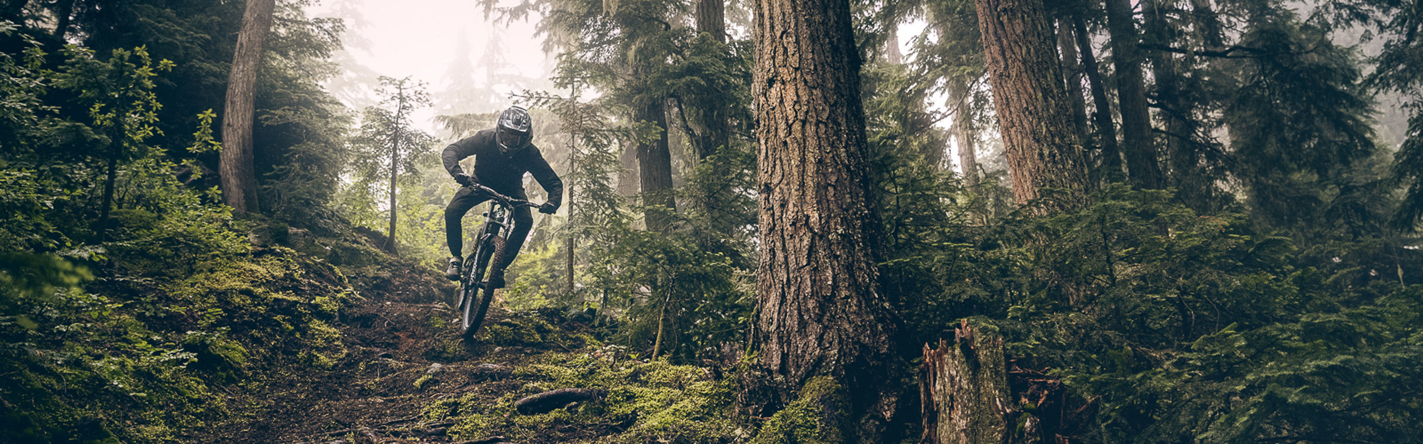 Mountain biking down roots in Creekside