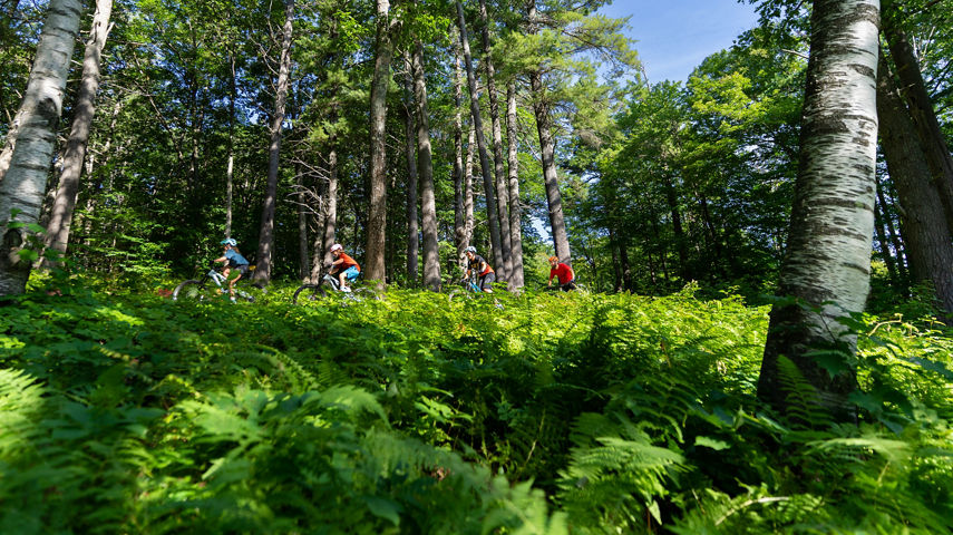 Family Riding on Mountain Biking Trail Through Trees at Mount Sunapee