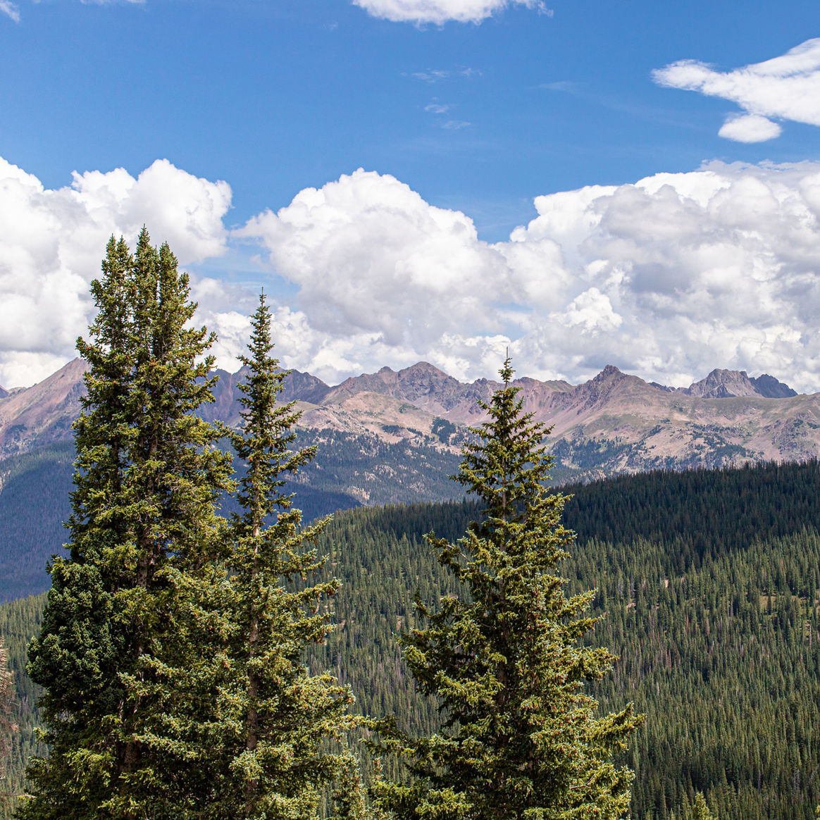 Vail Summer Scenic Views