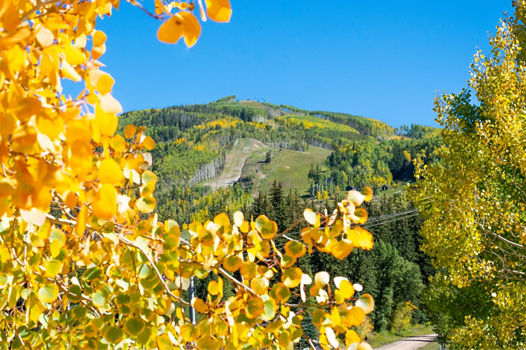 Fall Colors on Display at Vail Resort